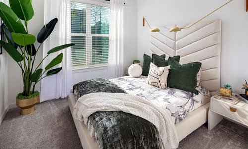 carpeted bedroom with bright window
